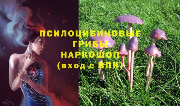 марки lsd Няндома