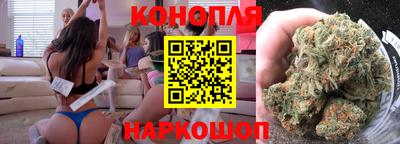spice Гай