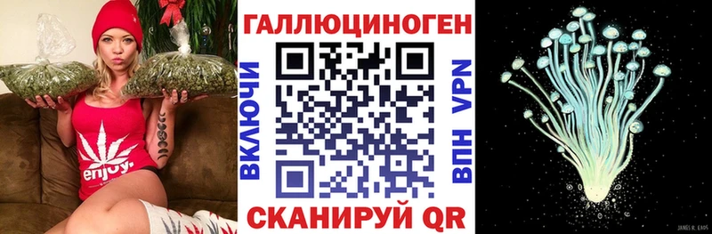 Псилоцибиновые грибы Psilocybe  Кохма 