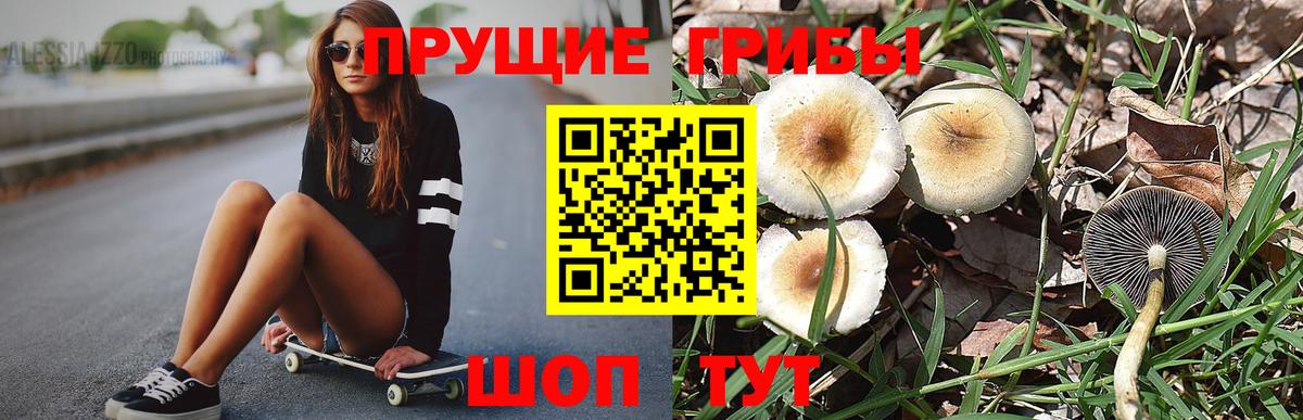Галлюциногенные грибы прущие грибы  где купить наркотик  Псилоцибиновые грибы Magic Shrooms  Кохма  Вход с VPN 