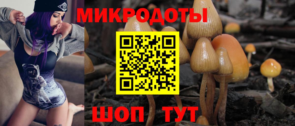 Псилоцибиновые грибы мухоморы  Кохма  Галлюциногенные грибы ЛСД 